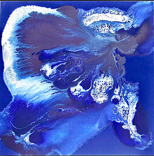 REEF